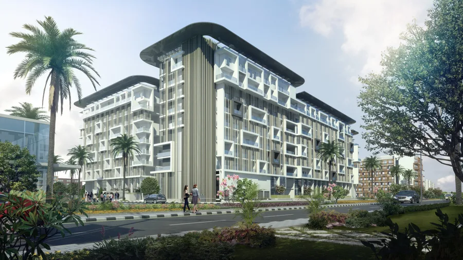 Oasis 1